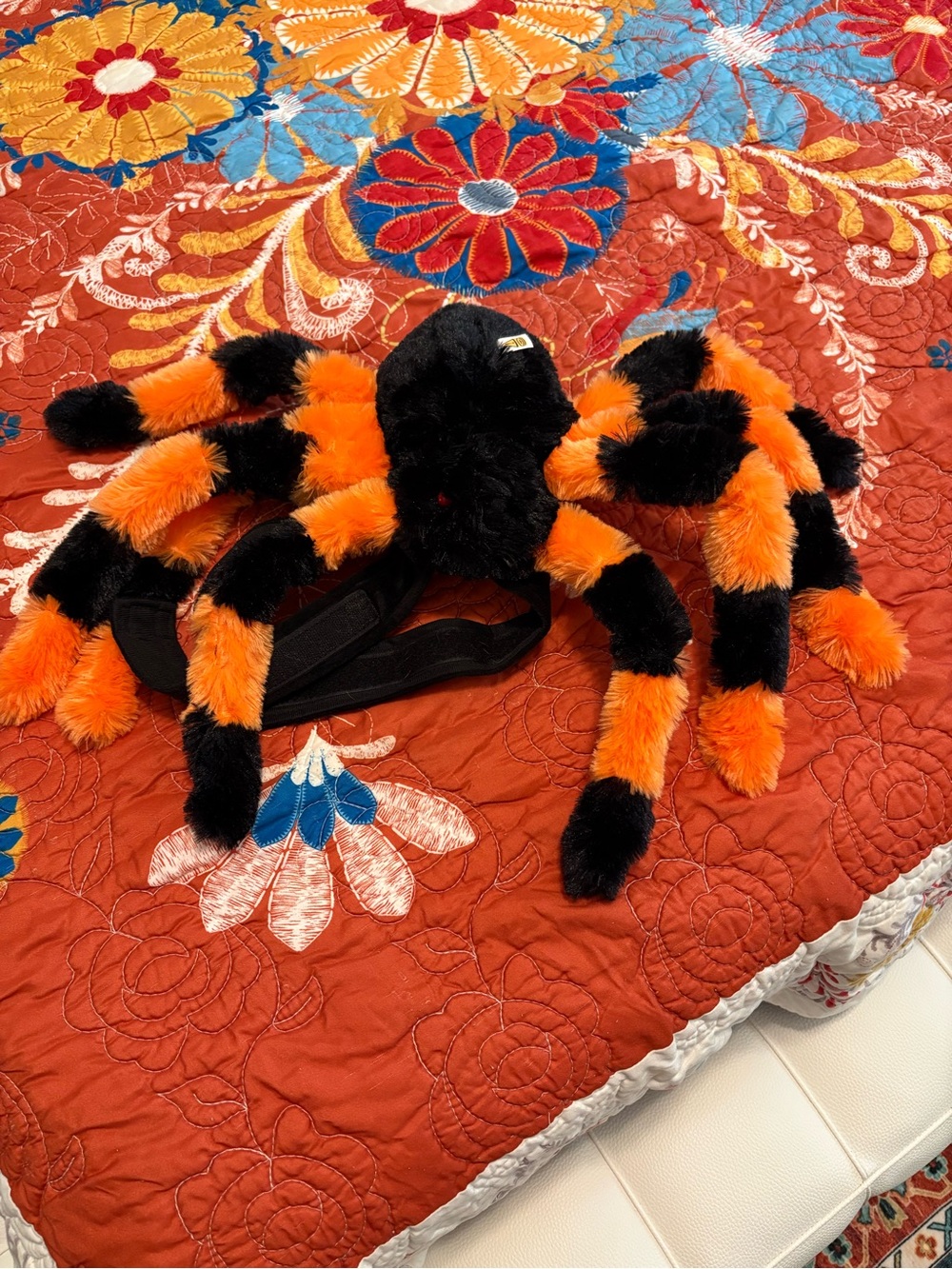 Plush Spider Costume for Dogs in Black & Orange